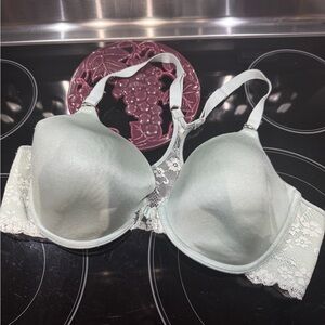 Maidenform Lace Accent Bra in Light Green